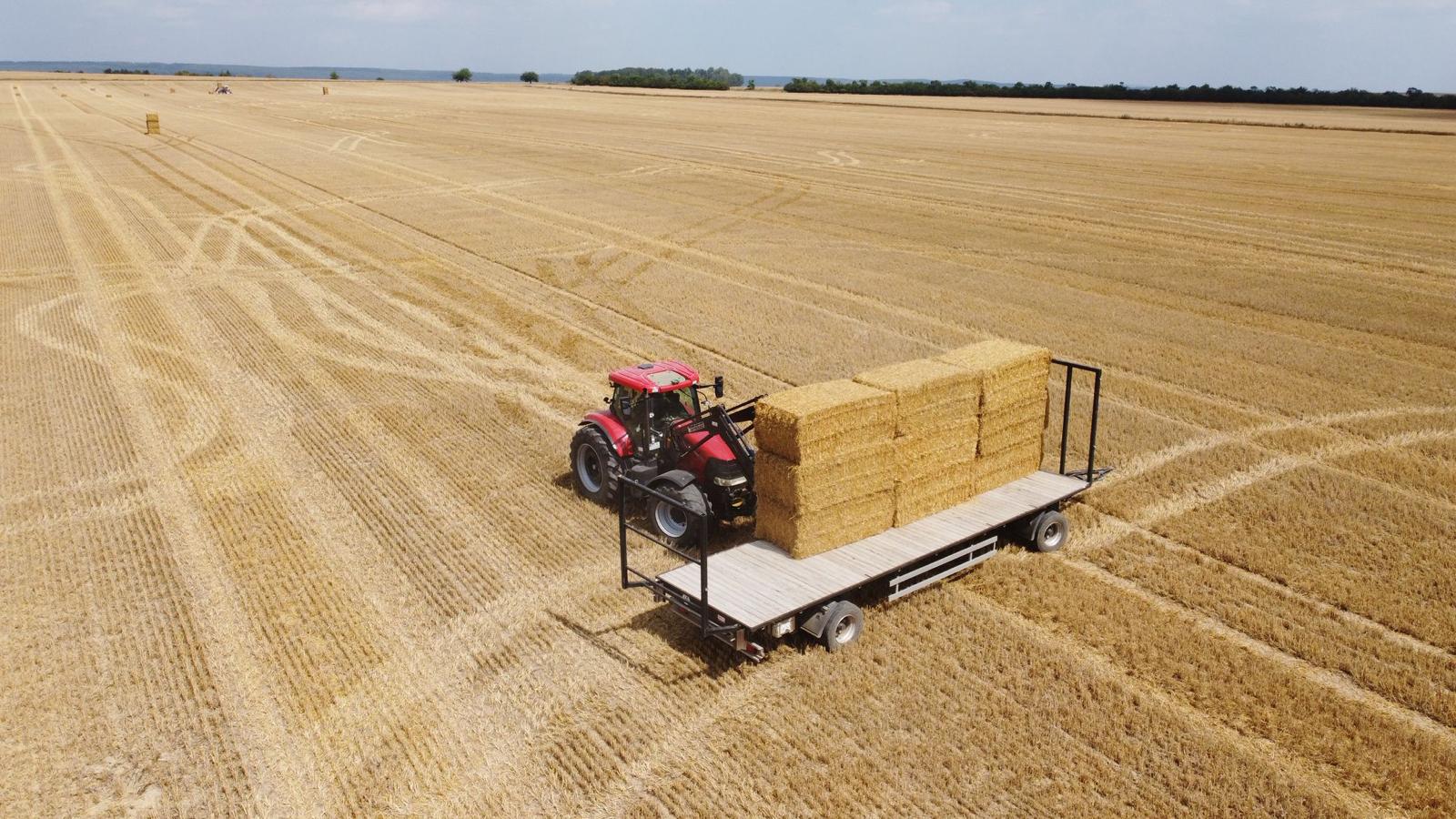 Landwirtschaftliche Arbeiten