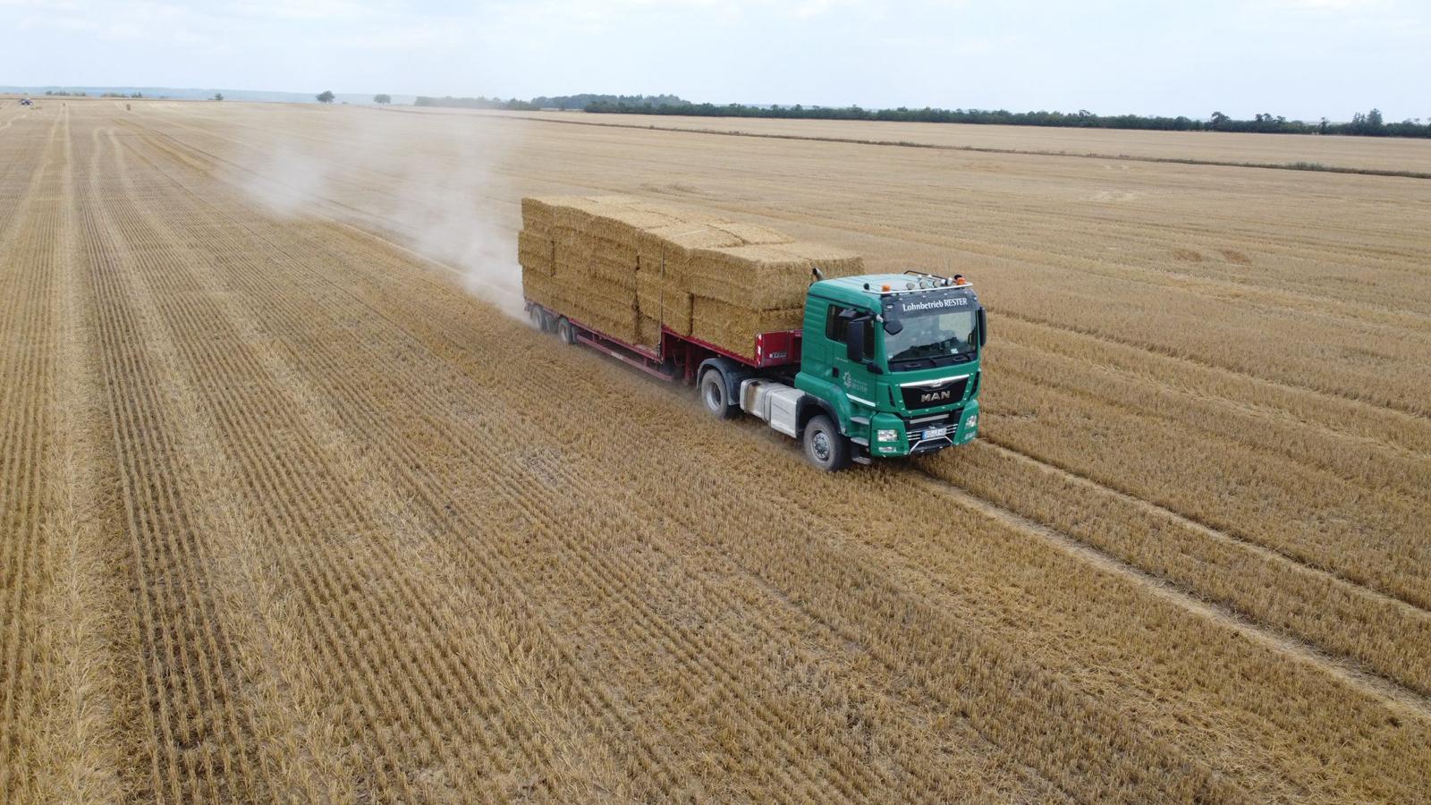 Landwirtschaftliche Arbeiten